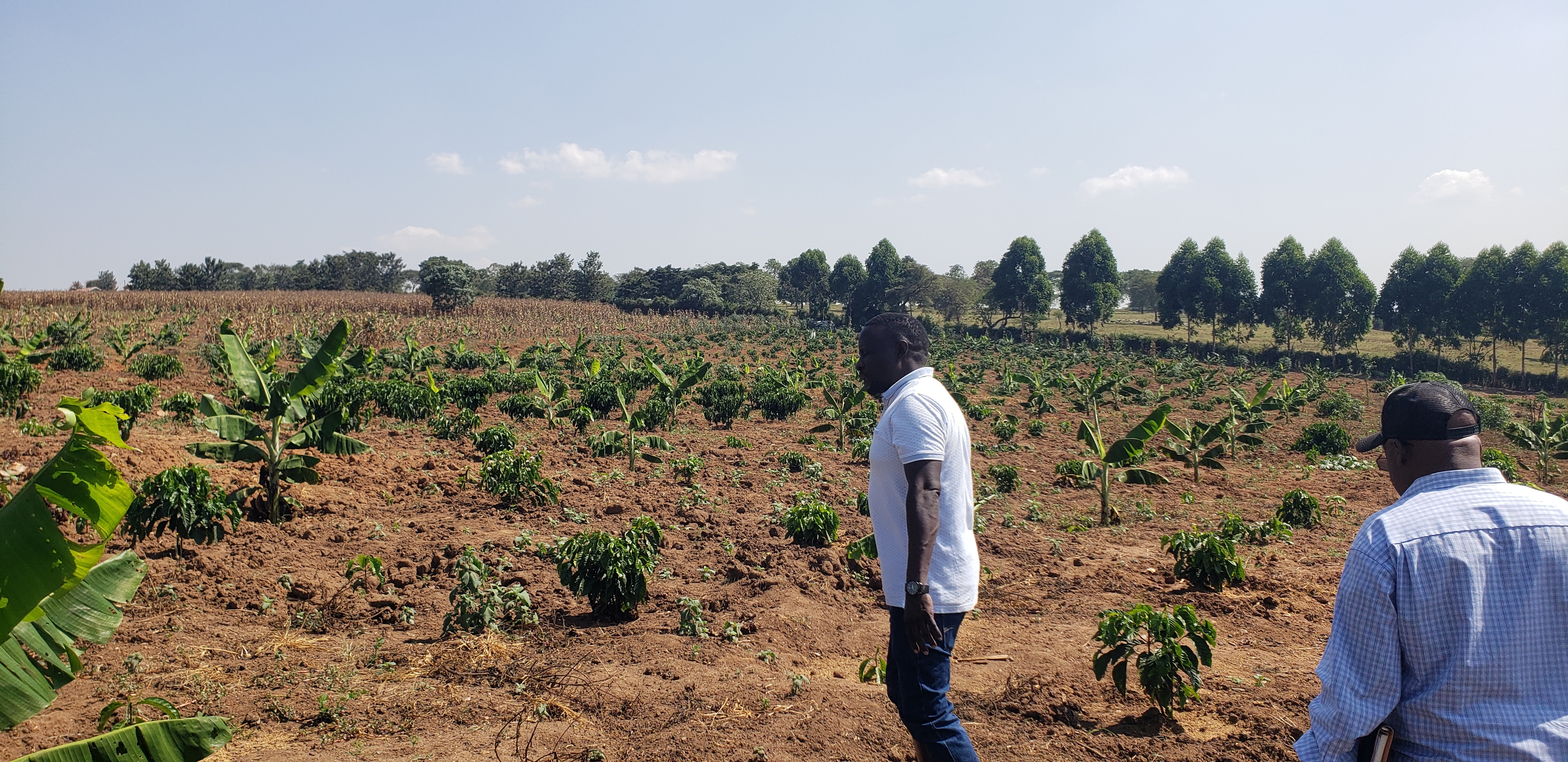 Agricultural Training